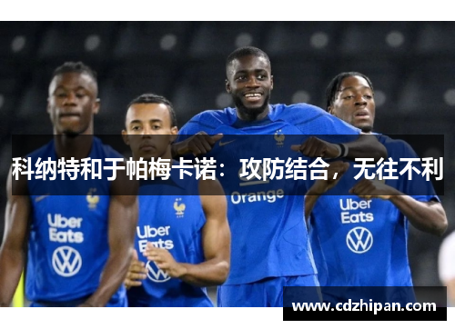 科纳特和于帕梅卡诺：攻防结合，无往不利